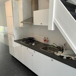 Rent 1 bedroom apartment of 22 m² in Uddel