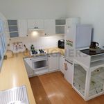 Rent 2 bedroom apartment of 94 m² in Plzeň