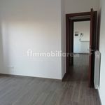 Affitto 2 camera appartamento di 50 m² in Montesilvano
