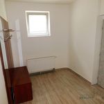 Rent 2 bedroom apartment of 50 m² in Hodonín