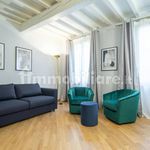 Rent 4 bedroom apartment of 120 m² in Florence
