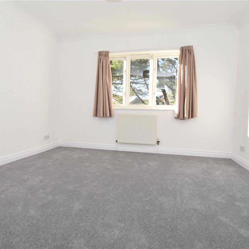 4 bedroom to rent in Haven Road Exeter | Wilkinson Grant Estate Agents