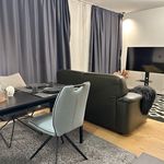 Rent 1 bedroom apartment of 35 m² in Nürnberg