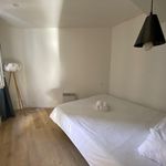 Rent 3 bedroom apartment of 65 m² in Pau