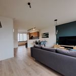 Rent 3 bedroom house of 87 m² in Bergen op Zoom