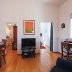 Rent 1 bedroom apartment of 43 m² in Florence