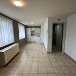 Rent 1 bedroom apartment of 45 m² in Torhout