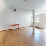 Rent 1 bedroom apartment of 36 m² in Stará Paka