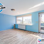 Rent 10 bedroom house of 4320 m² in Kartuzy
