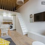 Rent 1 bedroom apartment of 25 m² in Lyon 2e Arrondissement