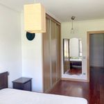 Rent 2 bedroom apartment of 47 m² in Oviedo