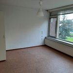 Rent 1 bedroom apartment of 16 m² in Dordrecht