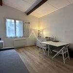  appartement avec 1 chambre(s) en location à Carcassonne