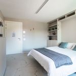 Rent 1 bedroom apartment of 30 m² in Solduno