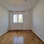 Rent 2 bedroom apartment of 43 m² in Sankt Pölten