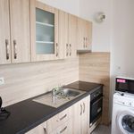 Rent 1 bedroom apartment of 35 m² in Sokolov