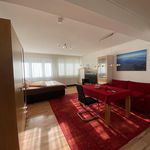 Miete 2 Schlafzimmer wohnung von 60 m² in Friedrichshafen