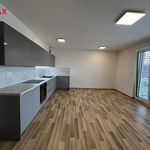 Rent 1 bedroom apartment of 55 m² in České Budějovice