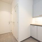 Rent 1 bedroom house of 160 m² in Hoogstraten