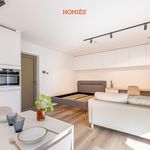 Rent 1 bedroom apartment of 35 m² in Leuven