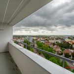 Rent 2 bedroom apartment of 55 m² in Hradec Králové