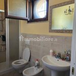 Affitto 3 camera appartamento di 80 m² in Rosignano Marittimo