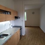 Rent 1 bedroom apartment of 49 m² in Doubek