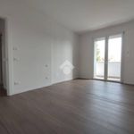Rent 3 bedroom apartment of 80 m² in Carpi