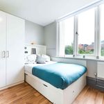 Rent 1 bedroom student apartment in Belfast