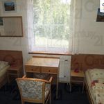 Rent 1 bedroom apartment of 15 m² in Vranov