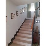 Rent 8 bedroom house of 140 m² in Adria