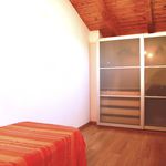 Affitto 2 camera appartamento di 60 m² in Monghidoro