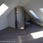 Rent 3 bedroom apartment of 110 m² in Hanau