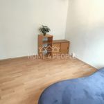 Rent 4 bedroom apartment of 106 m² in Brno