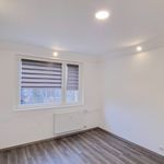Pronajměte si 2 ložnic/e byt o rozloze 151 m² v Karlovy Vary