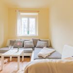 Rent 2 bedroom apartment in Praha