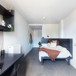 Rent 1 bedroom student apartment of 27 m² in Brighton