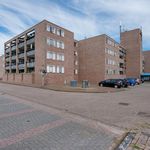 Rent 2 bedroom apartment of 90 m² in Almere