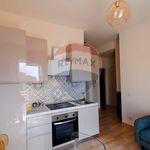 Appartamento in Affitto Ladispoli 38311022-142 | RE/MAX Italia