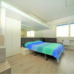 Affitto 1 camera appartamento di 30 m² in Riccione