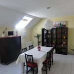 Rent 3 bedroom apartment of 70 m² in Montcenis
