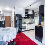 Rent 1 bedroom apartment of 36 m² in Katowice