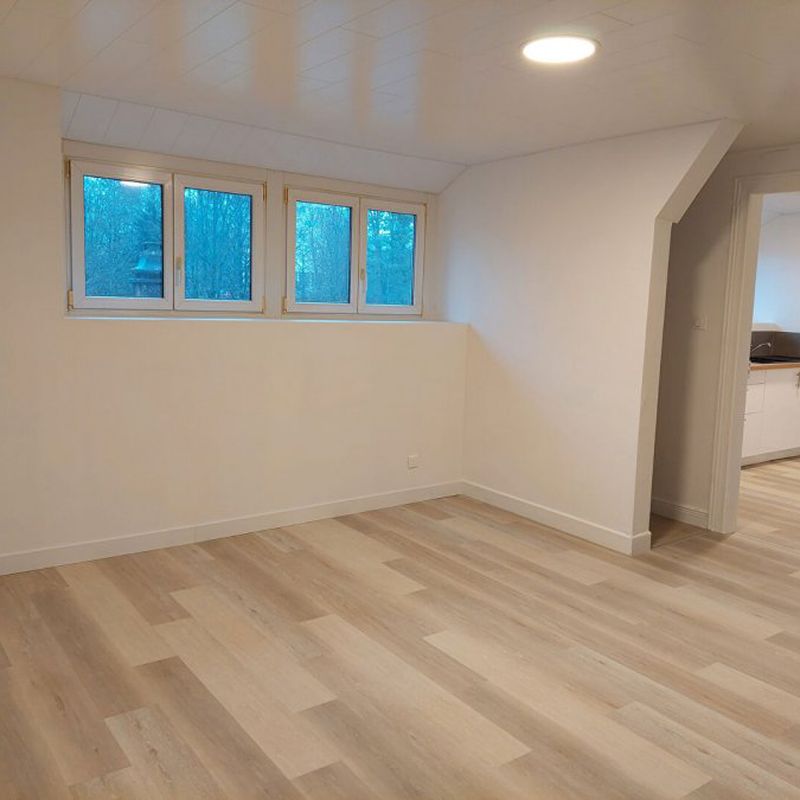 ▷ Appartement à louer • Sarrebourg • 74 m² • 590 € | immoRegion