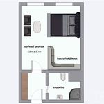 Rent 1 bedroom apartment of 313 m² in Plzeň