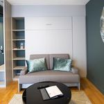 Rent 1 bedroom apartment of 24 m² in Lyon