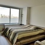 Rent 3 bedroom house of 157 m² in New York