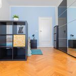 Rent 9 bedroom apartment in Torino