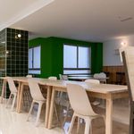 Rent 1 bedroom apartment of 23 m² in Granada