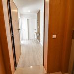 Rent 1 bedroom apartment in Coimbra
