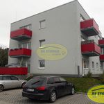 Rent 2 bedroom apartment of 53 m² in Litovel